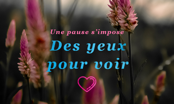 HB pause s'impose 3